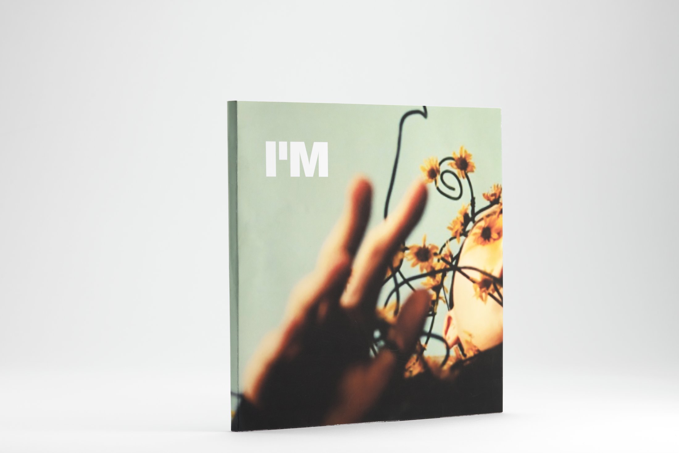 I'M brand book